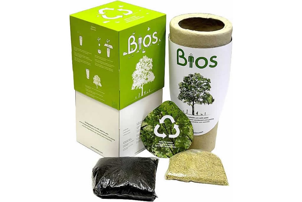 Urna biodegradable para cremación Árbol de la vida